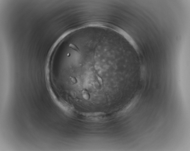 X0000114190955200910091229