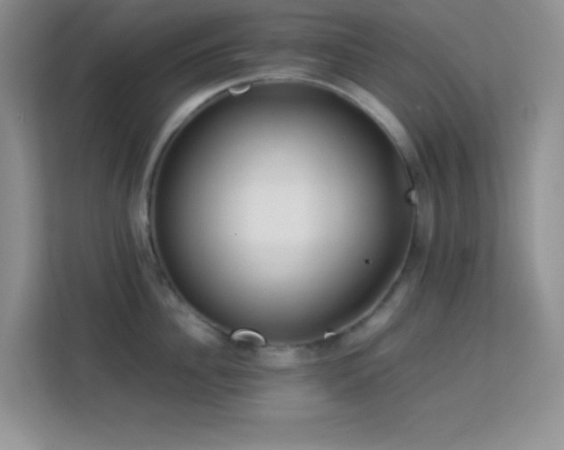 X0000114190956200910091229