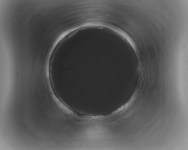 X0000114190958200910091229