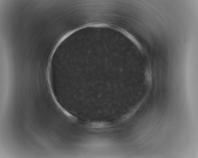 X0000114190959200910091229