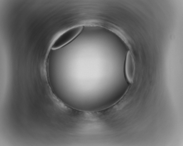 X0000114190960200910091229