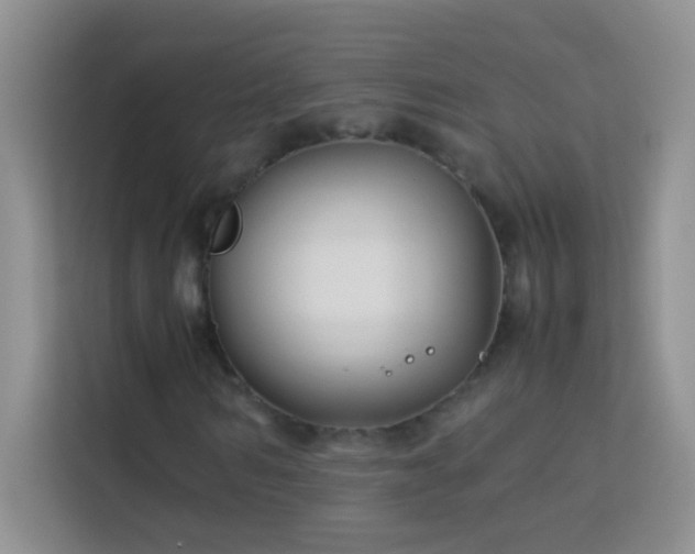 X0000114190962200910091229