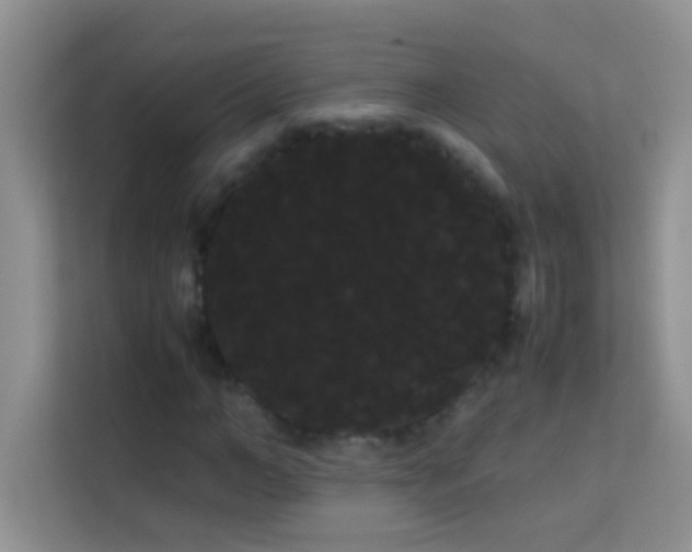 X0000114190966200910091229