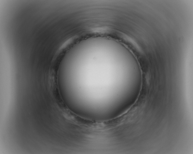 X0000114190968200910091229