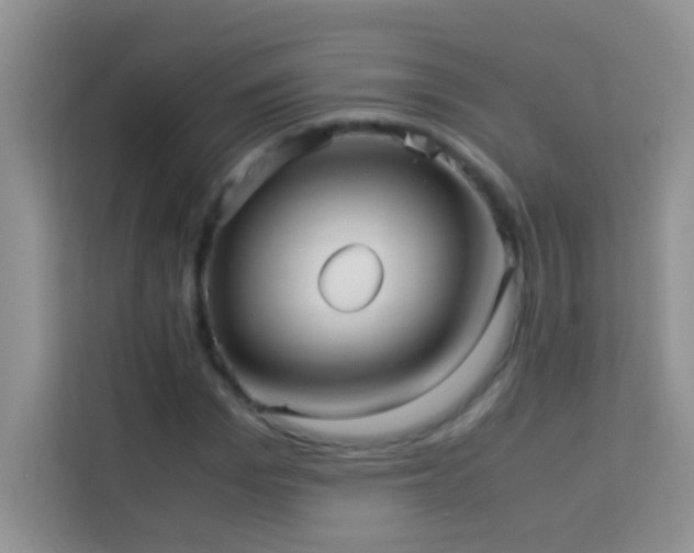 X0000114190969200910091229