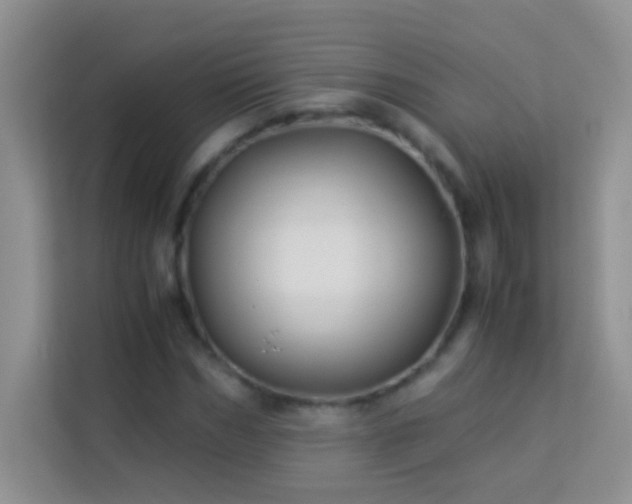 X0000114190970200910091229