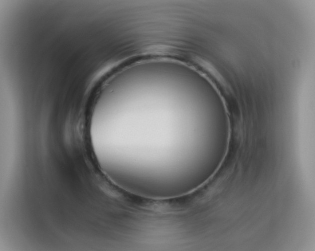 X0000114190971200910091229