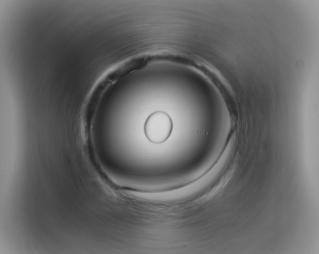 X0000114190973200910091229