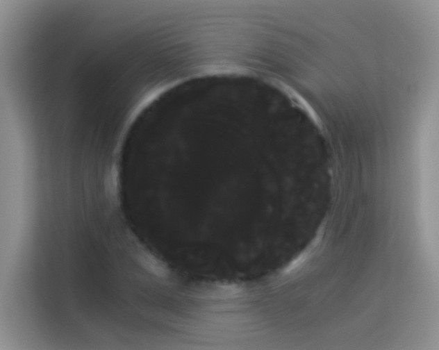 X0000114190975200910091229