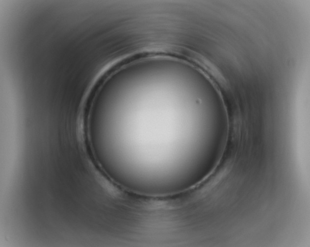 X0000114190976200910091229