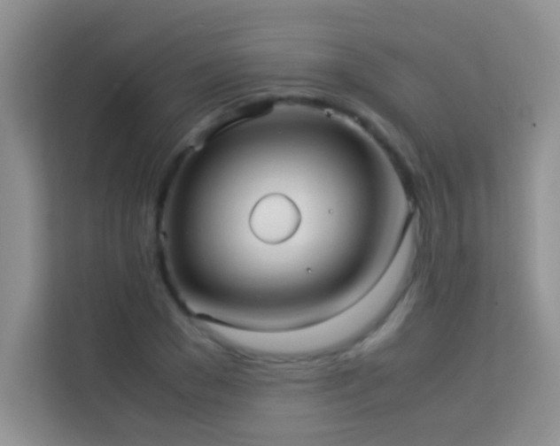 X0000114190977200910091229