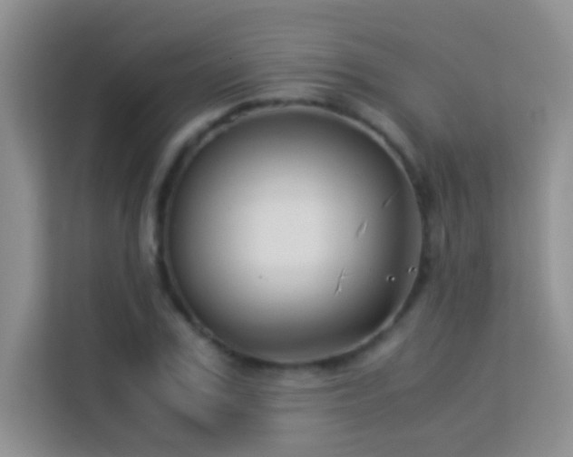 X0000114190979200910091229