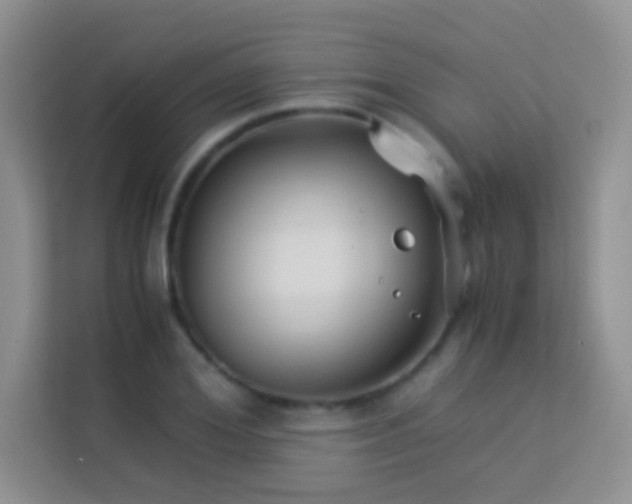 X0000114190980200910091229