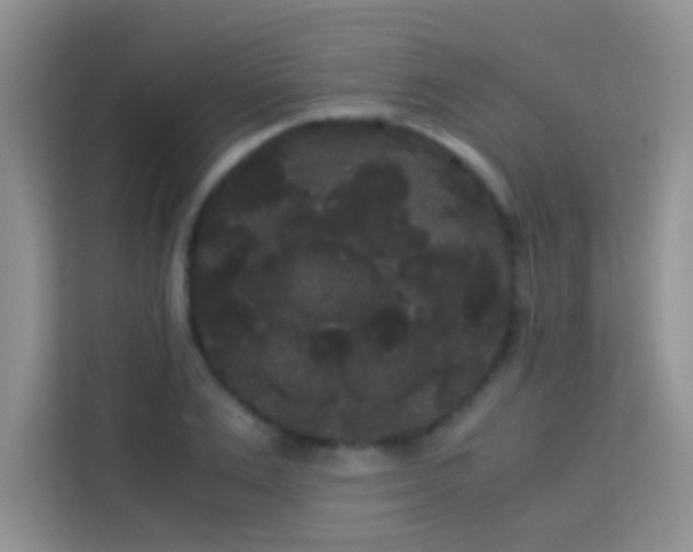 X0000114190983200910091228