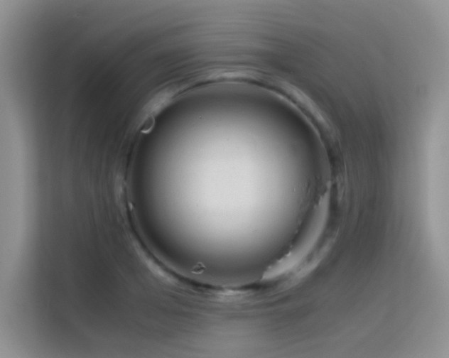 X0000114190985200910091228