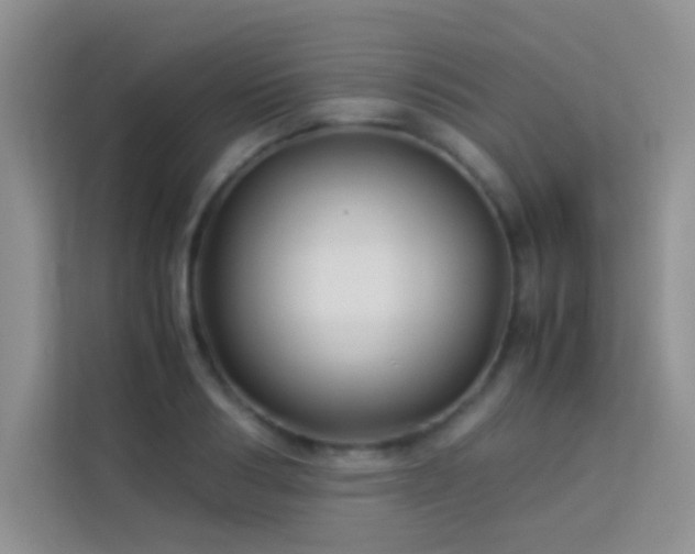 X0000114190986200910091228
