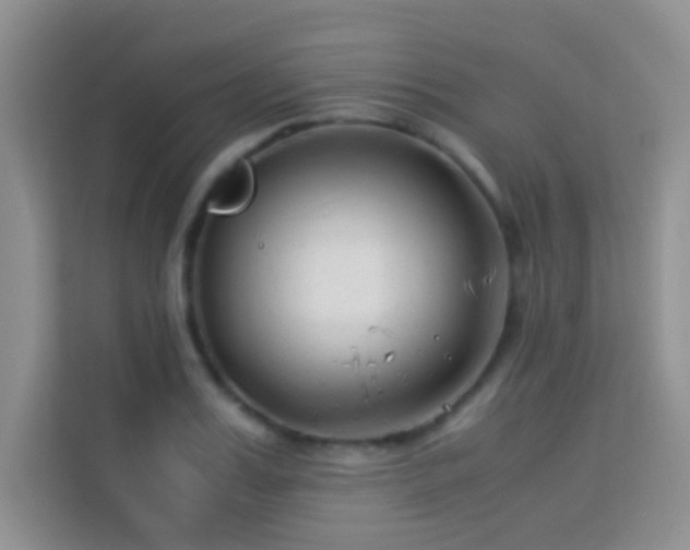 X0000114190987200910091228