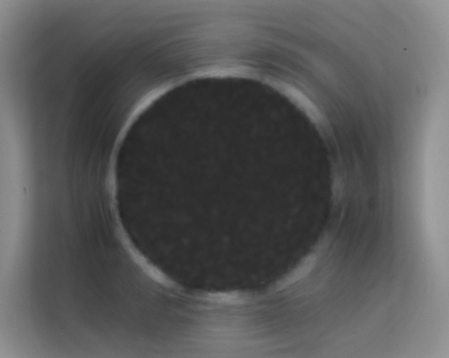 X0000114190990200910091228