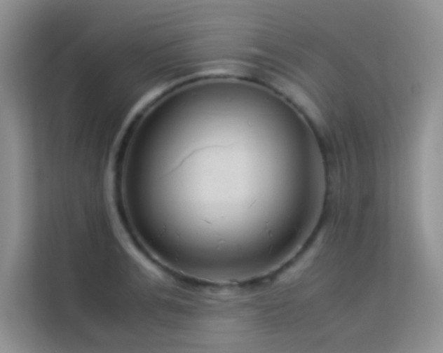 X0000114190991200910091228