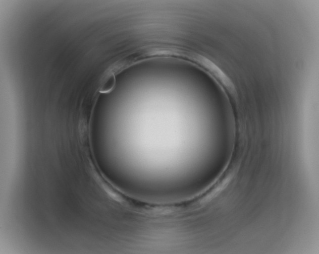 X0000114190993200910091228