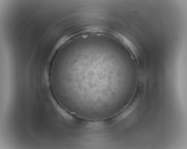 X0000114190997200910091228
