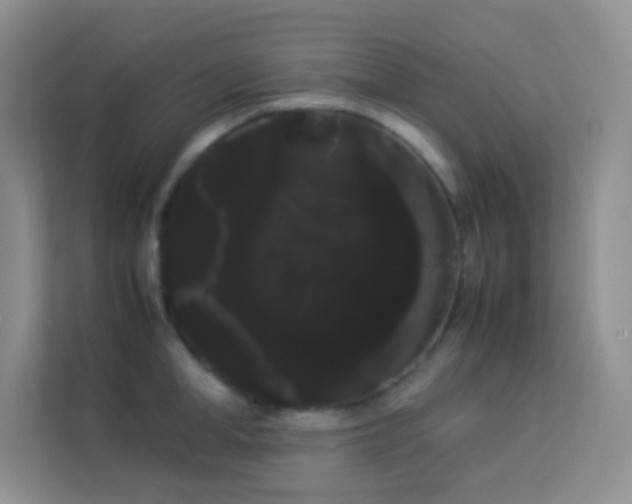 X0000114190998200910091228