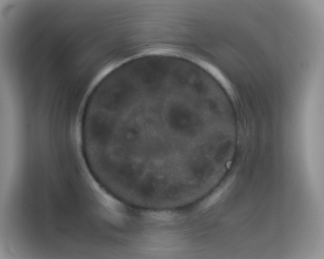 X0000114190999200910091228