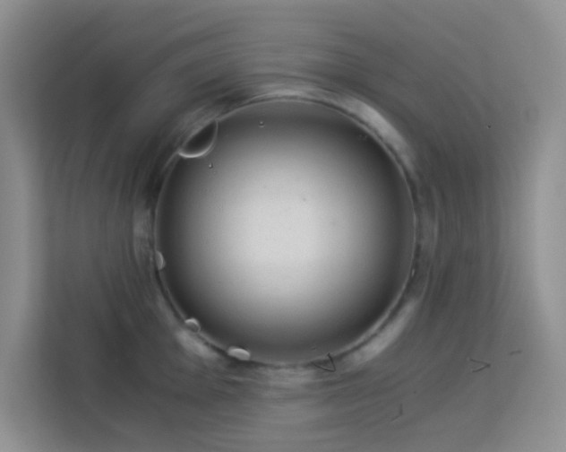 X0000114191001200910091228