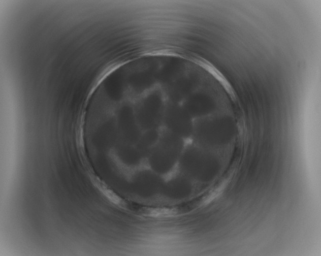 X0000114191002200910091228