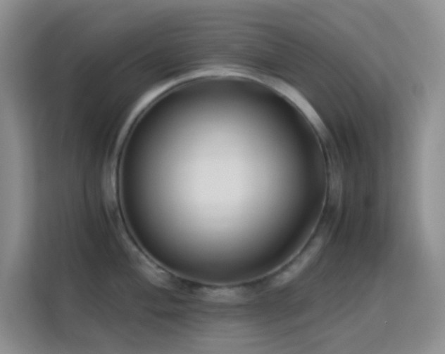 X0000114191004200910091228