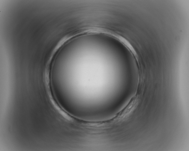 X0000114191005200910091228