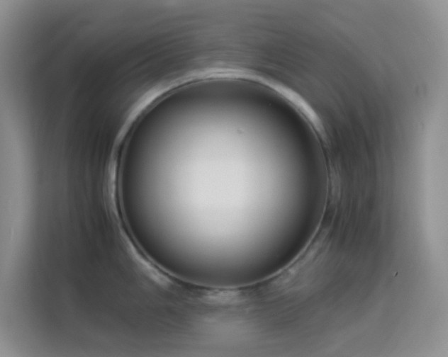 X0000114191006200910091228