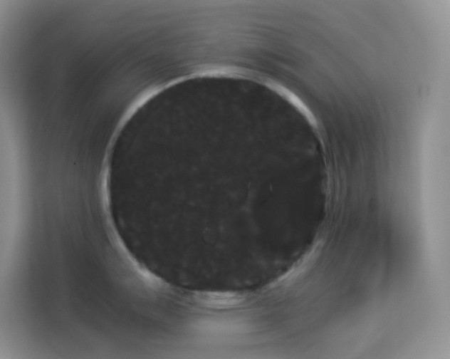 X0000114191007200910091228