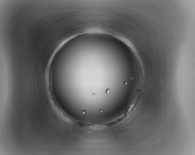 X0000114191008200910091228