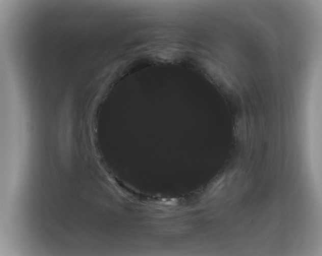X0000114191009200910091228