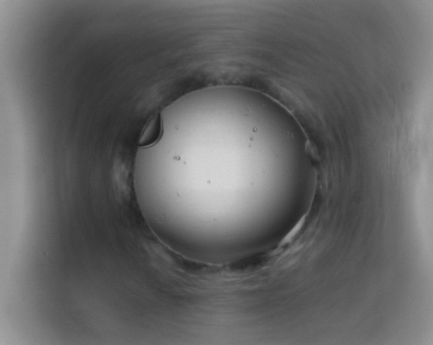 X0000114191010200910091228