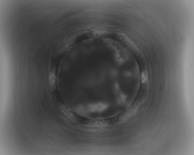 X0000114191011200910091228