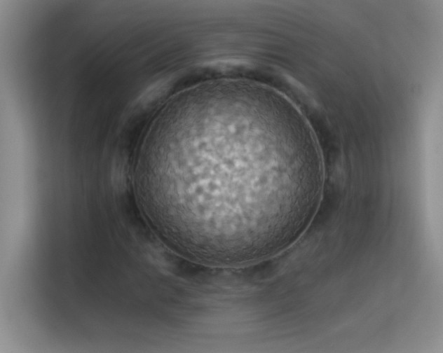 X0000114191014200910091228
