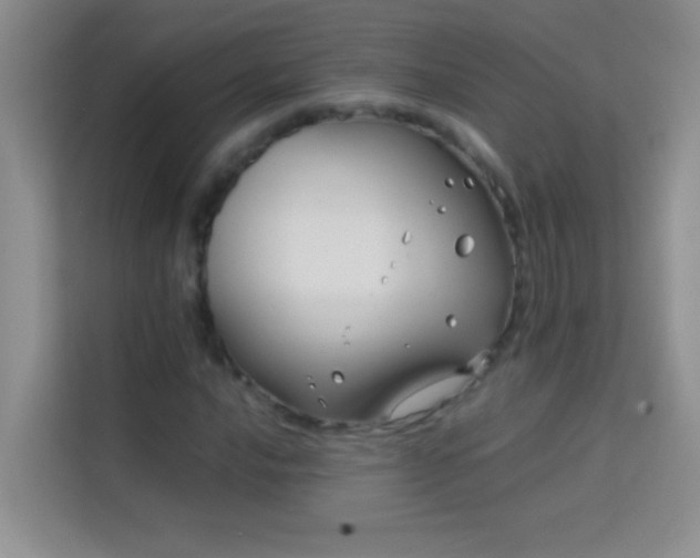 X0000114191016200910091228