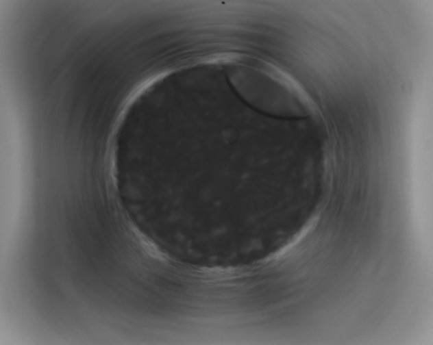 X0000114191019200910091228
