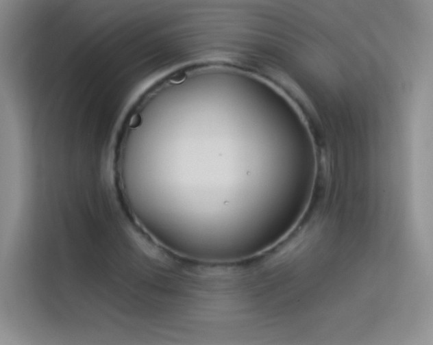X0000114191020200910091228
