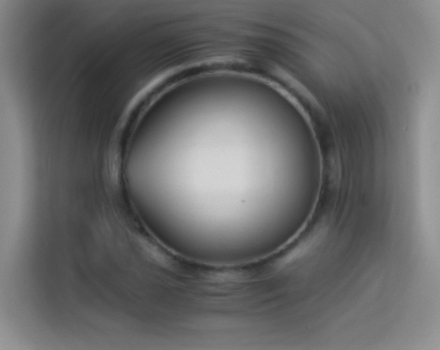 X0000114191021200910091228