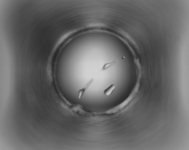 X0000114191022200910091228