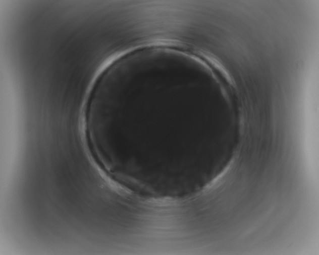 X0000114191024200910091228