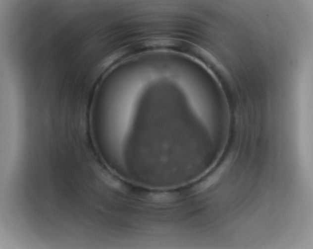 X0000114191025200910091228