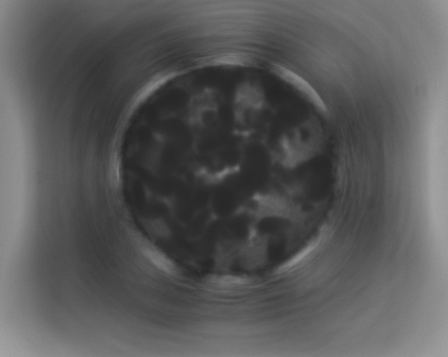 X0000114191027200910091228