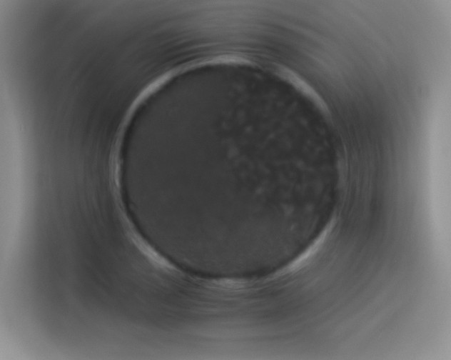 X0000114191029200910091228