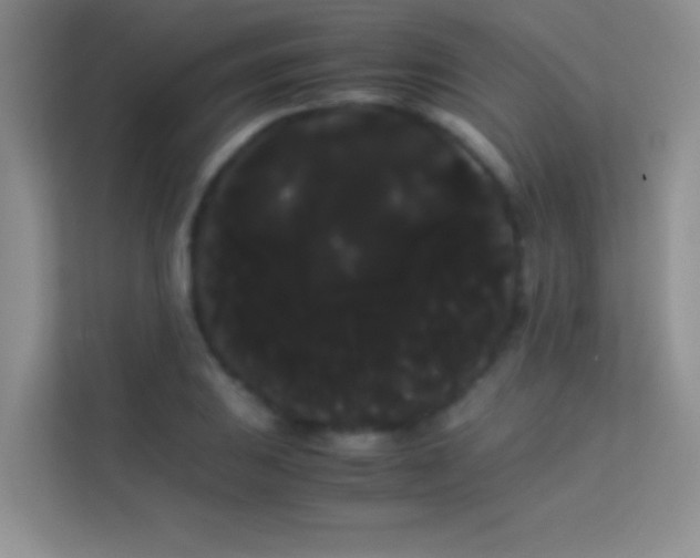 X0000114191031200910091228