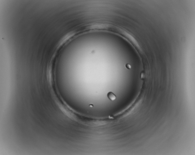 X0000114191034200910091228