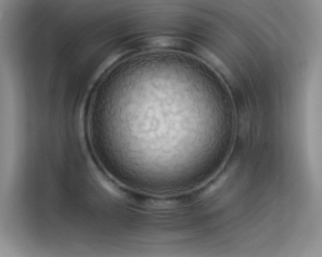 X0000114191039200910091228